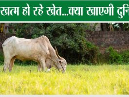 Kisan-news