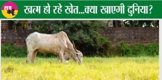 Kisan-news