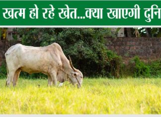 Kisan-news