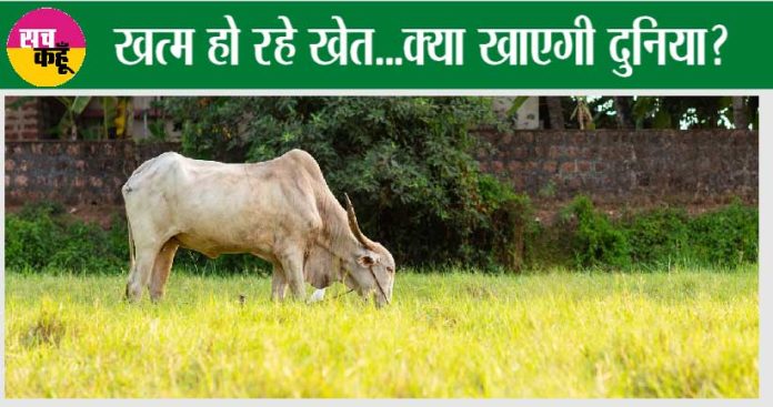 Kisan-news