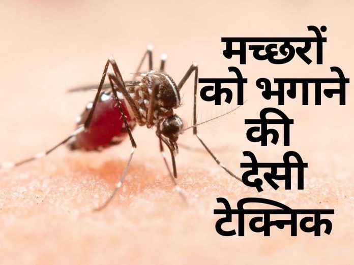Mosquito-Remedies
