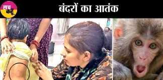 Rajound-attacked-by-monkeys