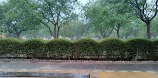 Haryana Ka Mausam