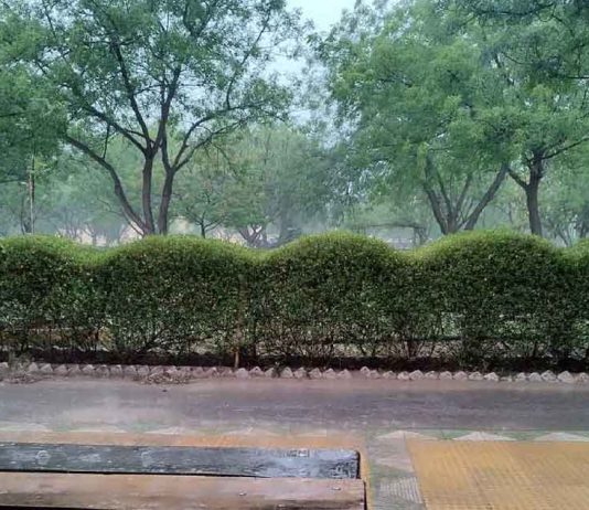 Haryana Ka Mausam