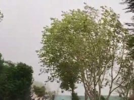 Weather Update