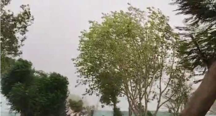 Weather Update