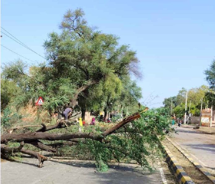 Weather Haryana