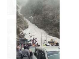 Viral Video Badrinath: ओ माय गॉड, ऐसा भयानक वीडियो आपने नहीं देखा होगा…