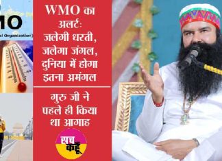 WMO