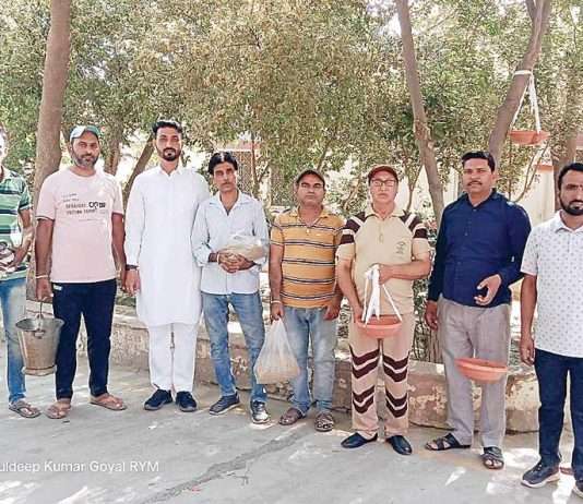 Welfare Work