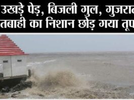 Biparjoy Cyclone: उखड़े पेड़, बिजली गुल, गुजरात में तबाही का निशान छोड़ गया तूफान Biparjoy Cyclone