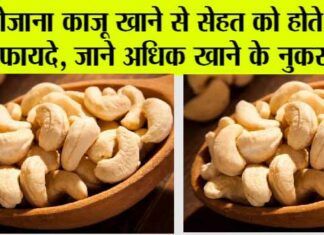 Cashew Nuts