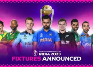 Cricket World Cup 2023