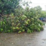 Cyclone-Biparjoy-Update-5
