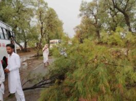 Heavy Rain:- अंधड़ के साथ बारिश, गिरे ओले, गर्मी से मिली राहत Punjab Weather