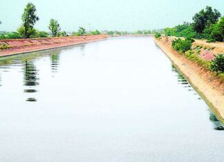 भाखड़ा प्रणाली की नहरों का वरीयताक्रम निर्धारित Hanumangarh News