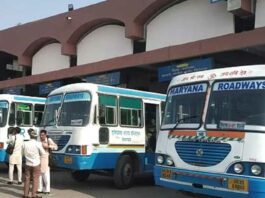 Haryana Roadways News
