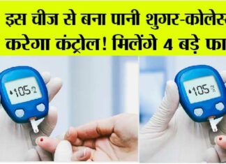 Sugar Level Control: शुगर-कोलेस्ट्रॉल मात्र 10 रुपये में कंट्रोल Health Tips