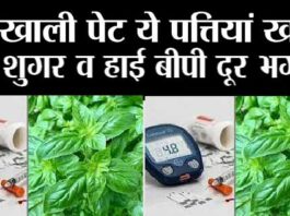 Herb For Diabetes: ये पत्ते शुगर को कंट्रोल करने के लिए अमृत है, सुबह-सुबह करें सेवन Herb For Diabetes