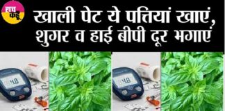 Herb For Diabetes