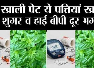 Herb For Diabetes