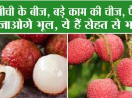 Litchi Health Benefits