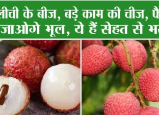 Litchi Health Benefits