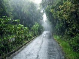 Monsoon : निकासी के हों उचित प्रबंध monsoon