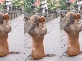 Motherly Love!