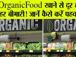 Organic Food
