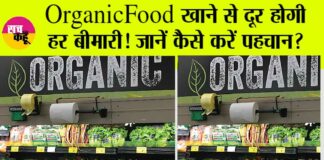 Organic Food