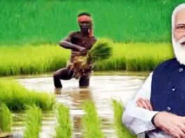 PM Kisan Yojana