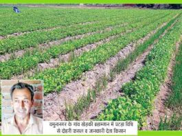 Organic Farming