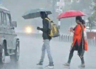 Punjab Weather Update