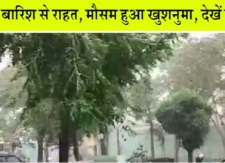 Rain