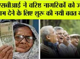 SBI Saral Pension Plan: एसबीआई ने सीनिर सिटीजन को दिया बड़ा तोहफा SBI Saral Pension Plan