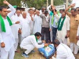 चौपटा तहसील कार्यालय में किसानों ने सांसद बृजभूषण का फूंका पुतला Sirsa News