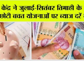 सरकार का बड़ा तोहफा, Small Savings Schemes पर अब मिलेगा ज्यादा ब्याज, जानें नई दरें Small Savings Scheme