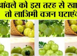 Soaked Amla Benefits: शुभान अल्लाह, ये छोटा सा आंवला, बड़ी-बड़ी समस्याओं को करे दूर! Soaked