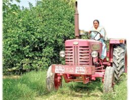 Horticulture Farmer