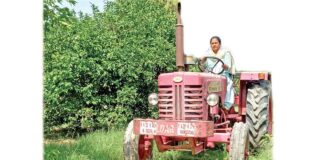 Horticulture Farmer