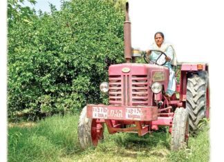 Horticulture Farmer