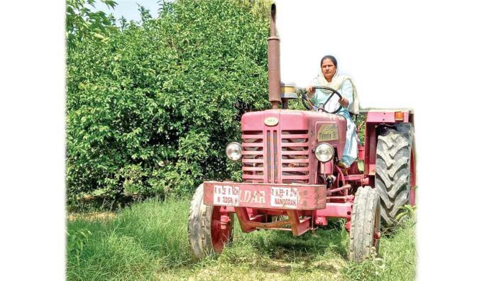 Horticulture Farmer