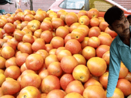 अचानक कैसे बढ़ गए टमाटर के दाम, जानिए क्या है असली वजह? Tomato