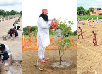 World Environment Day