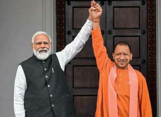 Yogi Government