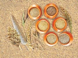 Benefits of Millets: मोटापा, कोलैस्ट्रोल, ब्लडप्रैशर से बचाव को रोज खायें मिलेट्स millets