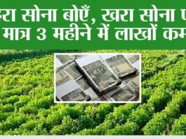 Agriculture News