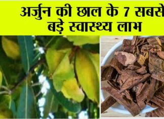 Arjuna Bark Benefits