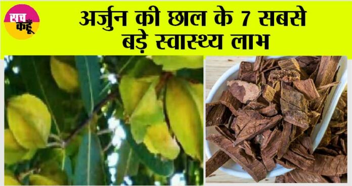 Arjuna Bark Benefits